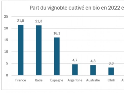 Les vignes bio dans le monde